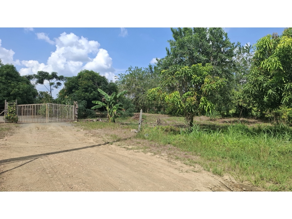 VENDO LOTE CAMPESTRE UBICADO EN SIERRA CHIQUITA MONTERÍA CÓRDOBA — foto 4
