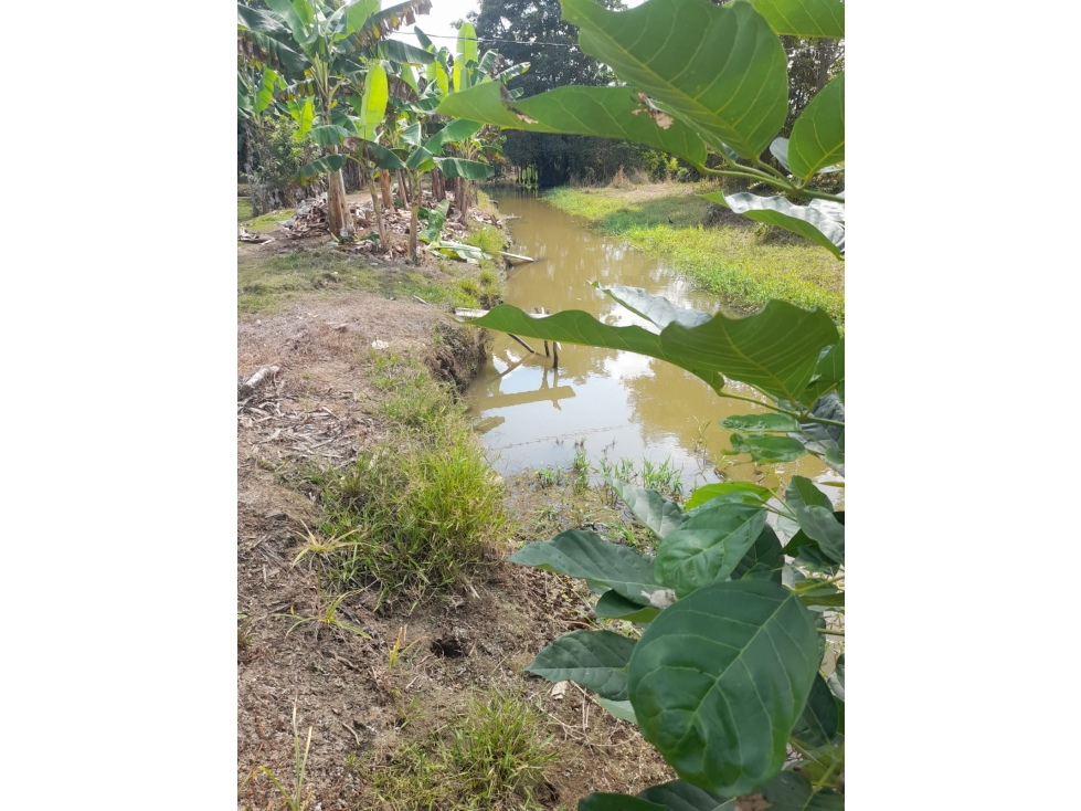 VENDO PISCÍCOLA EN LORICA VÍA A SAN BERNARDO DEL VIENTO CÓRDOBA - 6