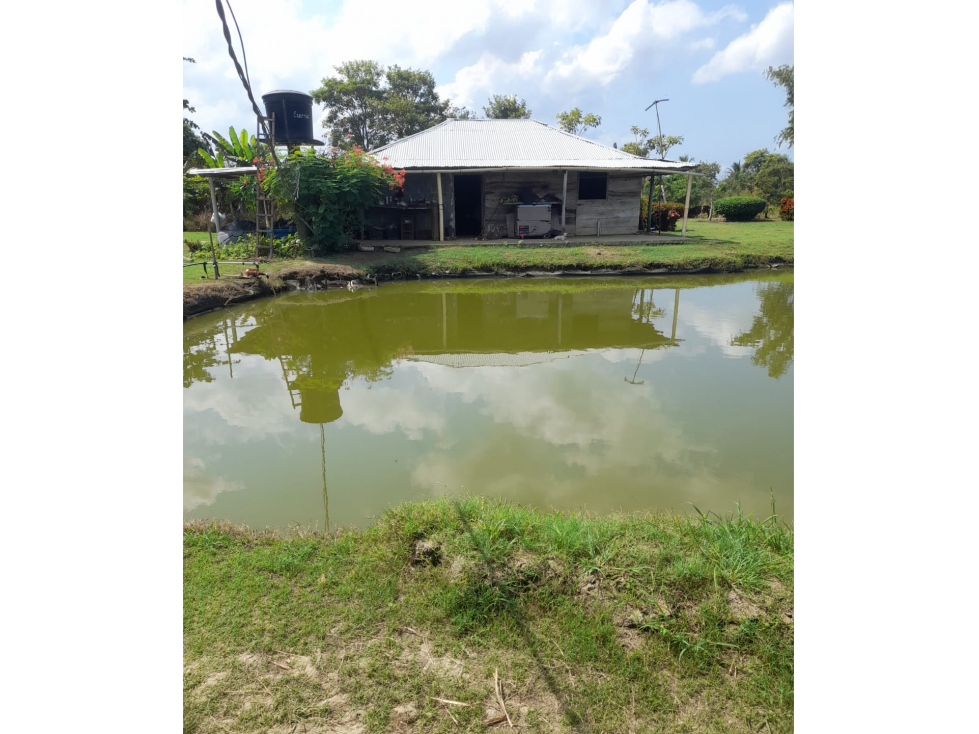 VENDO PISCÍCOLA EN LORICA VÍA A SAN BERNARDO DEL VIENTO CÓRDOBA - 4