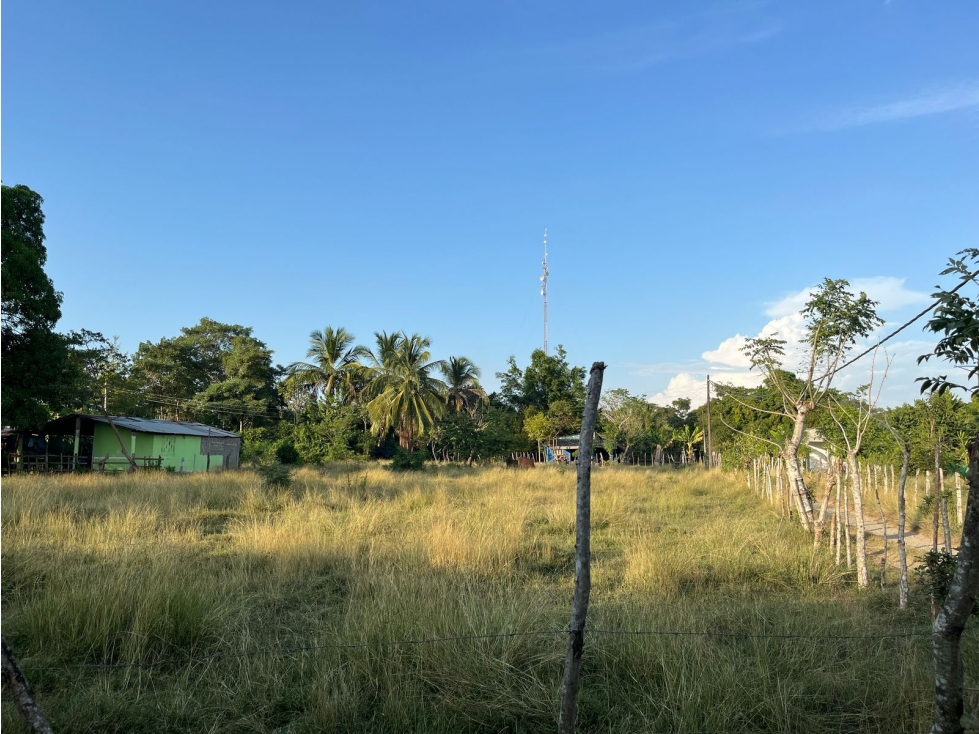 VENDO LOTES CAMPESTRES EN EL CAMPANO CERCA AL SABANAL MONTERIA CORDOBA — foto 4