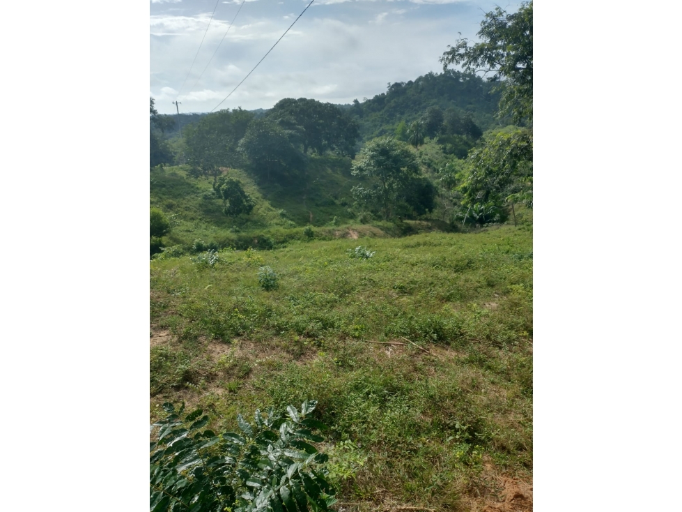 VENDO FINCA VIA A MOÑITOS MONTERIA CORDOBA — foto 4