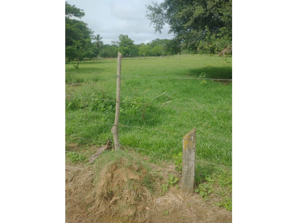 VENDO FINCA EN JARAQUIEL MONTERIA CORDOBA COLOMBIA — foto 5