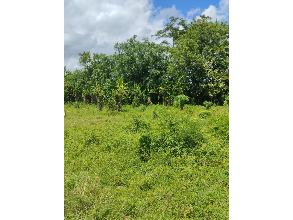 VENDO LOTE EN CAÑO VIEJO LAS LAMAS MONTERIA CORDOBA — foto 5