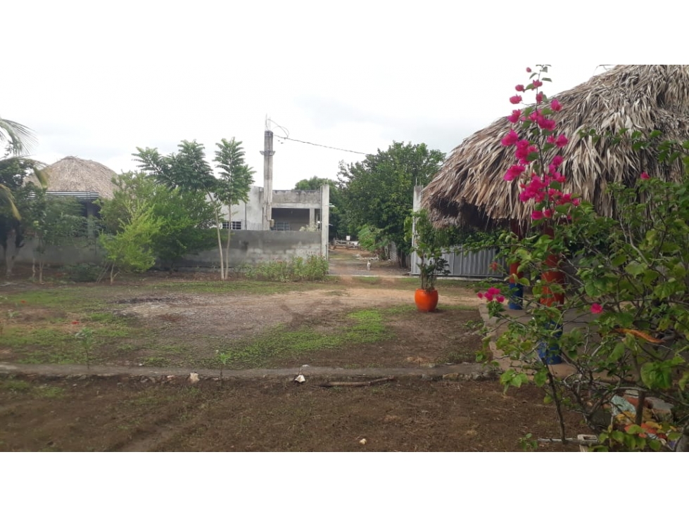 VENDO CASA CAMPESTRE EN EL KILOMETRO 14 VIA A PLANETA RICA CORDOBA — foto 6