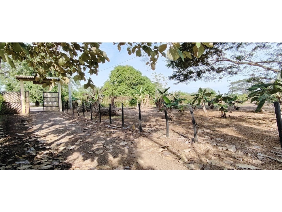VENDO LOTE CAMPESTRE VÍA ARBOLETES MONTERÍA CÓRDOBA
