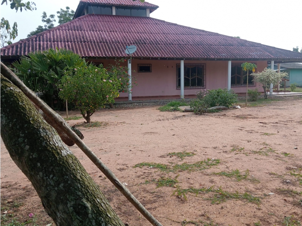VENDO FINCA EN SAN CARLOS CORDOBA VIA A PLANETA RICA CORDOBA