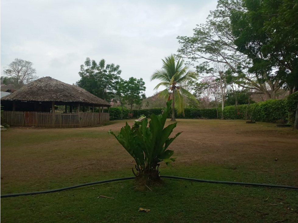 VENDO FINCA EN CANALETE CORDOBA COLOMBIA - 4