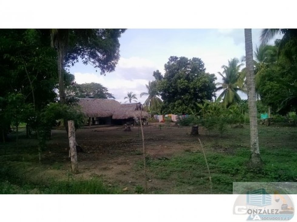 EN VENTA LOTE URBANO BUENAVENTURA LOS GARZONES MONTERÍA CÓRDOBA — foto 5