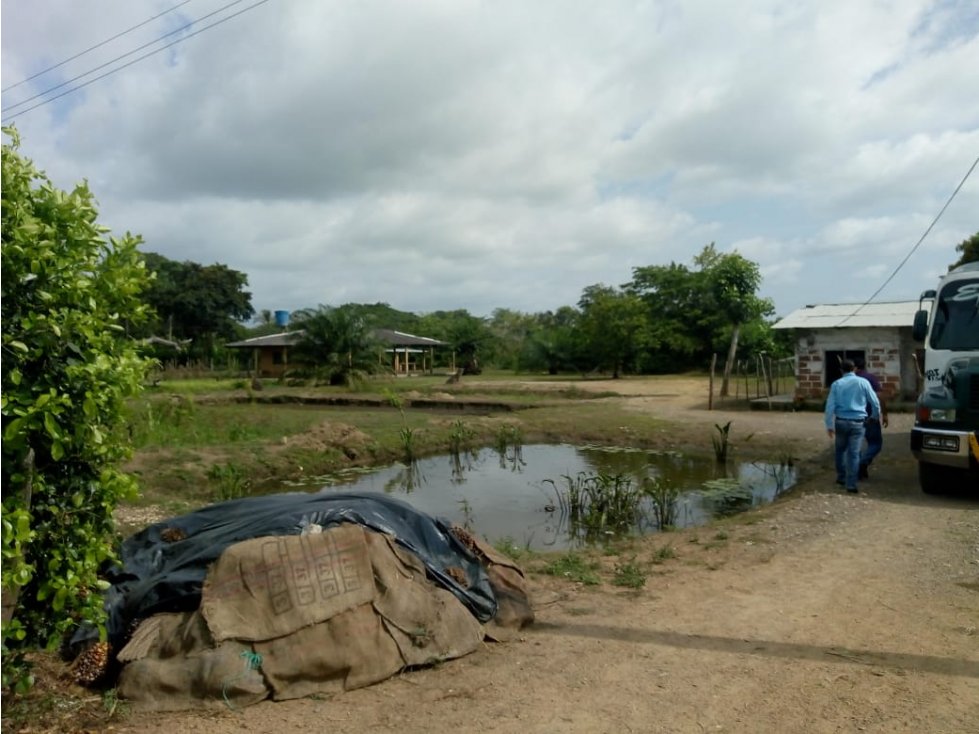EN VENTA FINCA EN LA DOCTRINA AL LADO RIO SINU LORICA COLOMBIA - 6