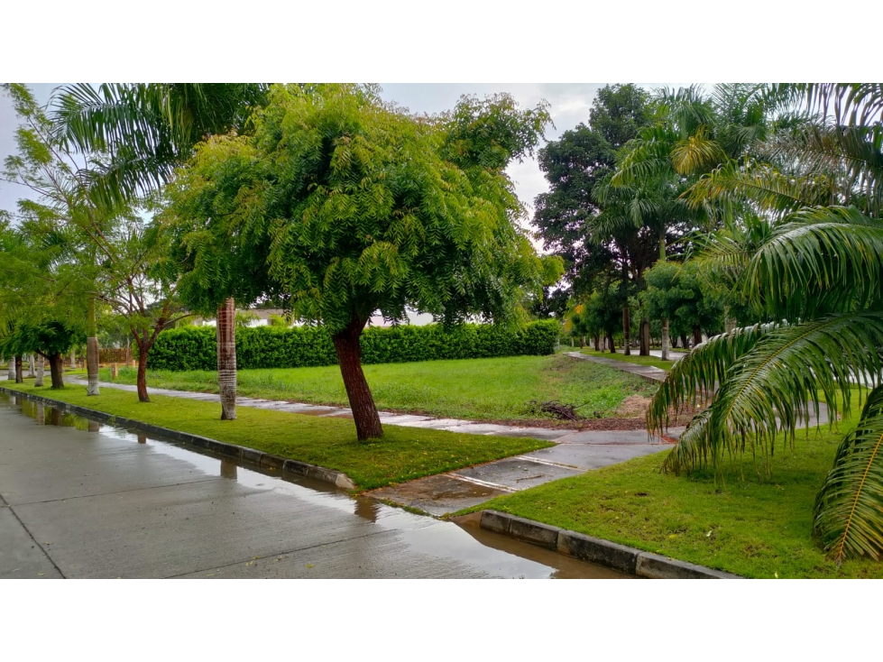 EN VENTA LOTE EN PILAMO CLUB - MARGEN IZQUIERDA EN MONTERÍA CÓRDOBA — foto 5