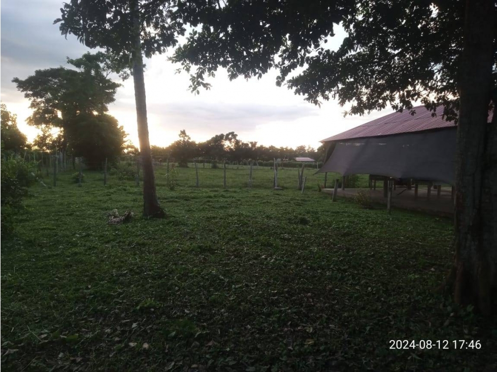 VENDO LOTE EN LA VIA A TIERRALTA MOCHILA — foto 5