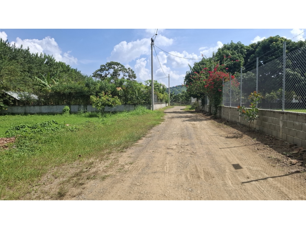 VENDO LOTE CAMPESTRE UBICADO EN SIERRA CHIQUITA MONTERÍA CÓRDOBA — foto 5