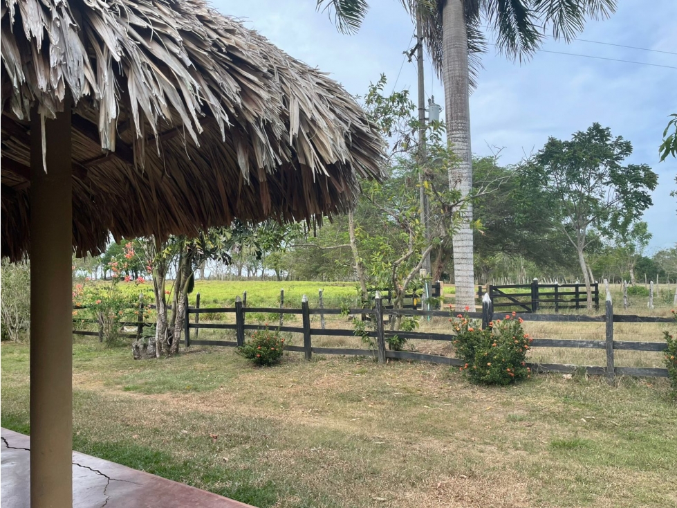 VENDO FINCA EN JARAQUIEL MONTERIA CORDOBA — foto 5