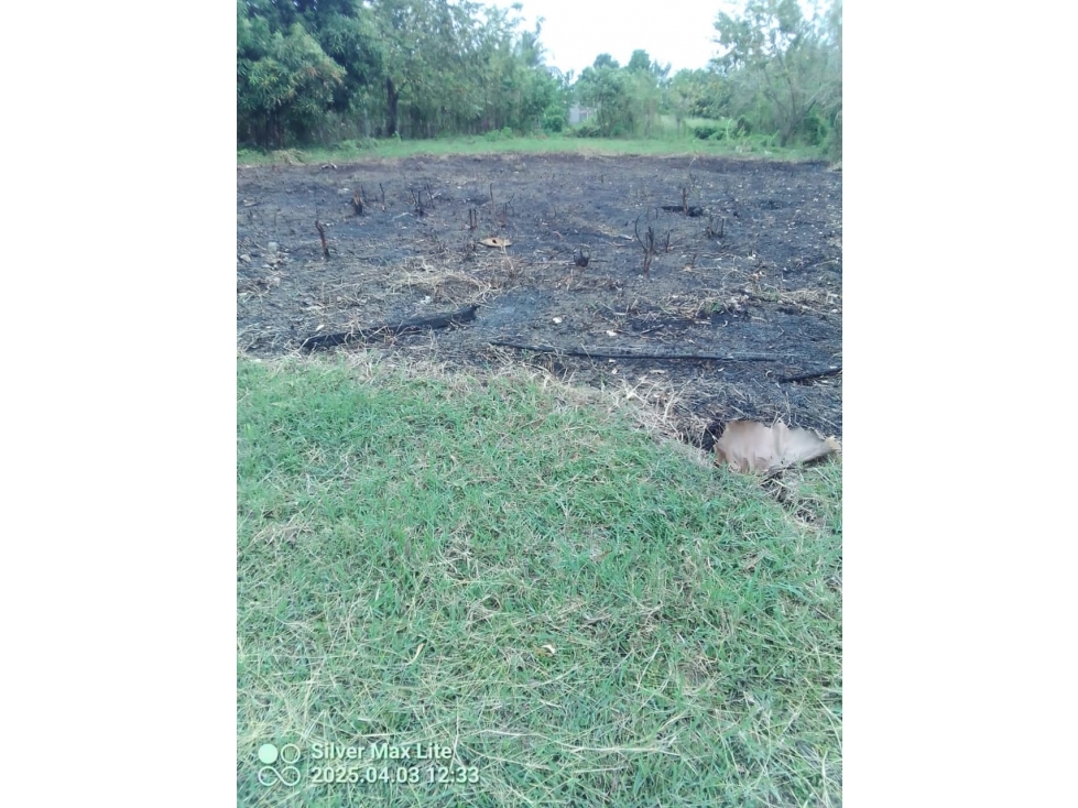 VENDO LOTE UBICADO EN LOS PERICOS MONTERÍA - CÓRDOBA — foto 5
