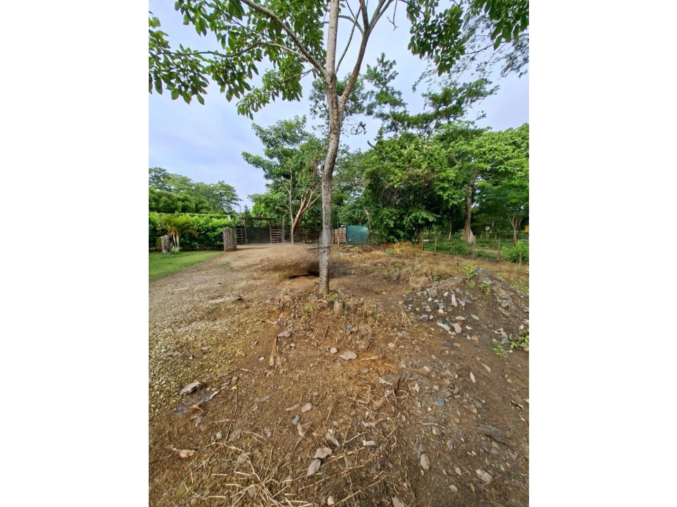 VENDO LOTE COMPESTRE MONTERIA VIA PLANETA RICA - 5