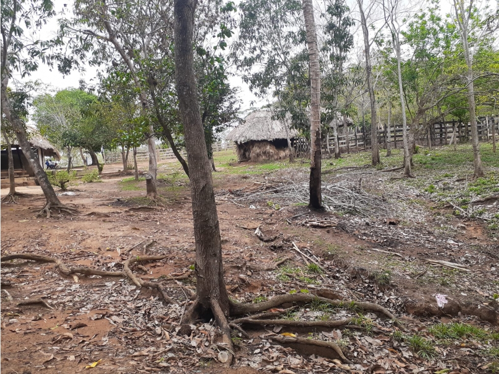 VENDO FINCA EN CIENAGA DE ORO CORDOBA - 5