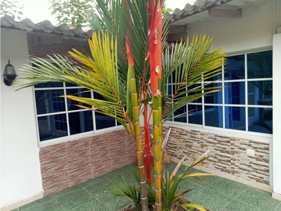 VENDO CASA CAMPESTRE EN CERETE CORDOBA - 3