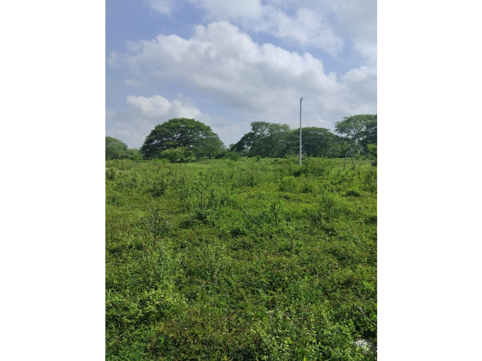 VENDO LOTE CAMPESTRE EN LAGOS DE SANTA RITA MATEO GOMEZ MONTERIA — foto 2