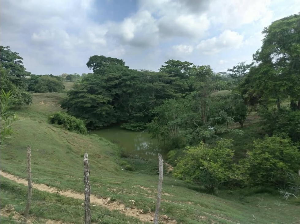 VENDO FINCA EN MONITOS CORDOBA - 5
