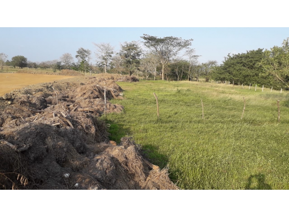 EN VENTA LOTE EN EL BARRIO LA CASTELLANA MONTERIA CORDOBA — foto 2
