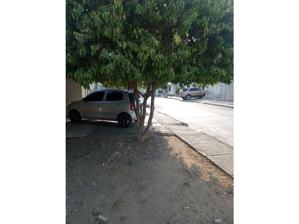 EN VENTA CASA LOTE EN EL BARRIO LA FLORESTA EN MONTERÍA — foto 6