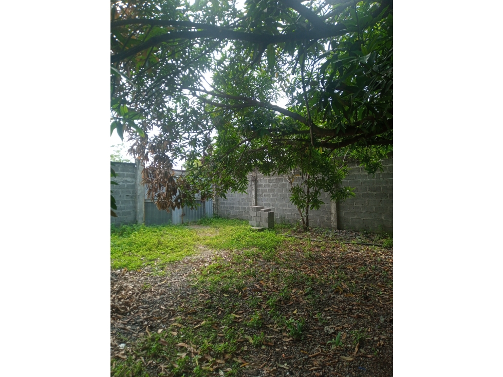VENDO LOTE EN VILLA CARIBE MONTERÍA CÓRDOBA COLOMBIA — foto 6