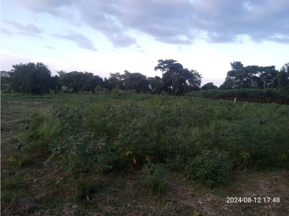 VENDO LOTE EN LA VIA A TIERRALTA MOCHILA — foto 6
