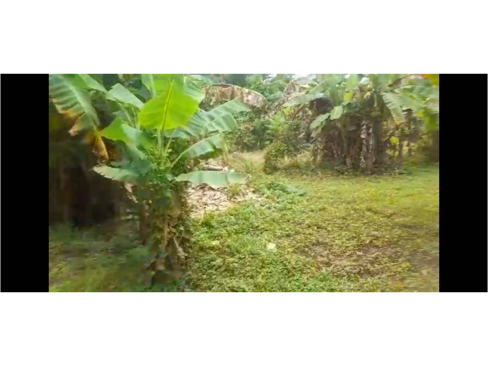 VENDO LOTE VIA AL SABANAL MONTERIA CORDOBA