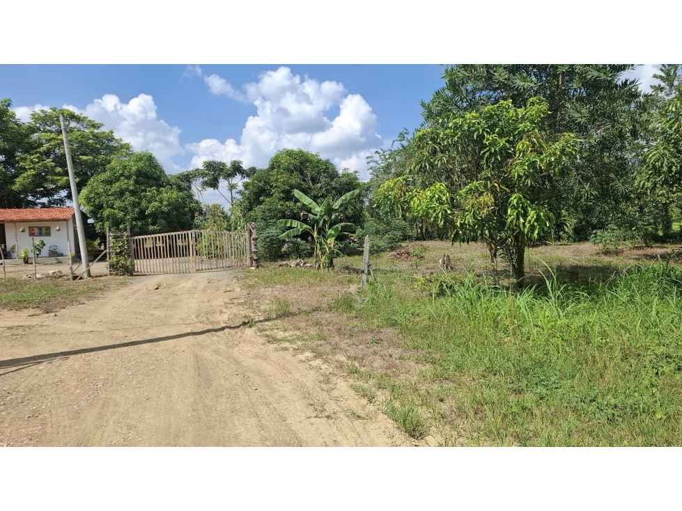 VENDO LOTE CAMPESTRE UBICADO EN SIERRA CHIQUITA MONTERÍA CÓRDOBA — foto 6