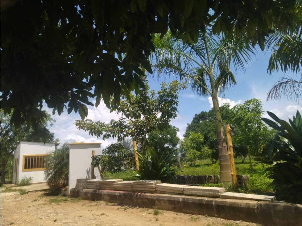 EN VENTA LOTE CAMPESTRE EN ARBOLETES ANTIOQUIA COLOMBIA - 6