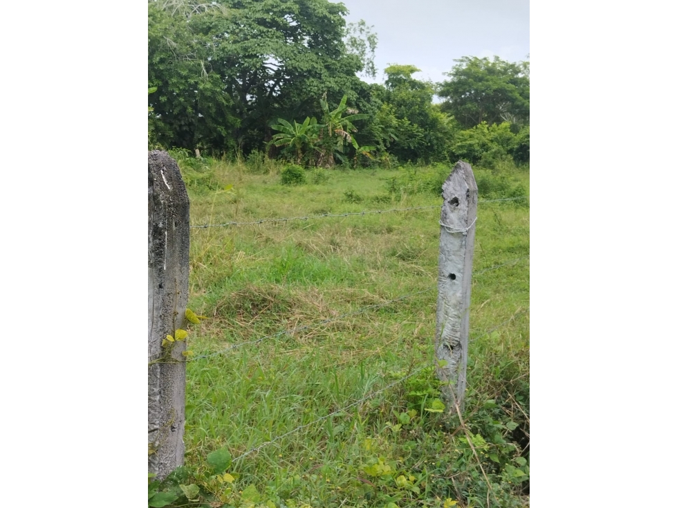 VENDO LOTE EN CAÑO VIEJO LAS LAMAS MONTERIA CORDOBA