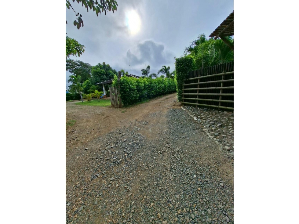 VENDO LOTE COMPESTRE MONTERIA VIA PLANETA RICA - 6