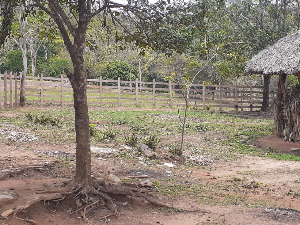 VENDO FINCA EN CIENAGA DE ORO CORDOBA - 6
