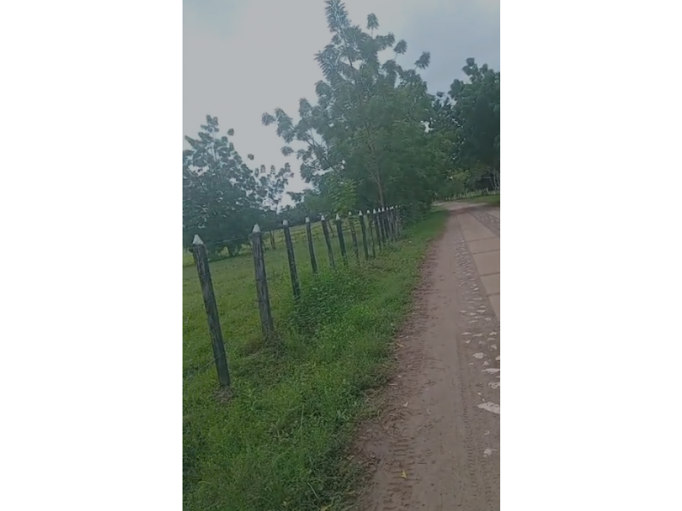 VENDO FINCA EN CIENAGA DE ORO CORDOBA - 4