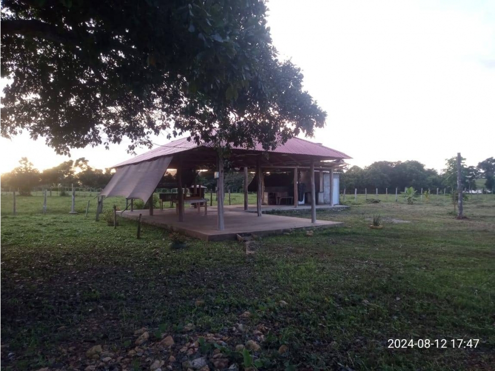VENDO LOTE EN LA VIA A TIERRALTA MOCHILA — foto 3
