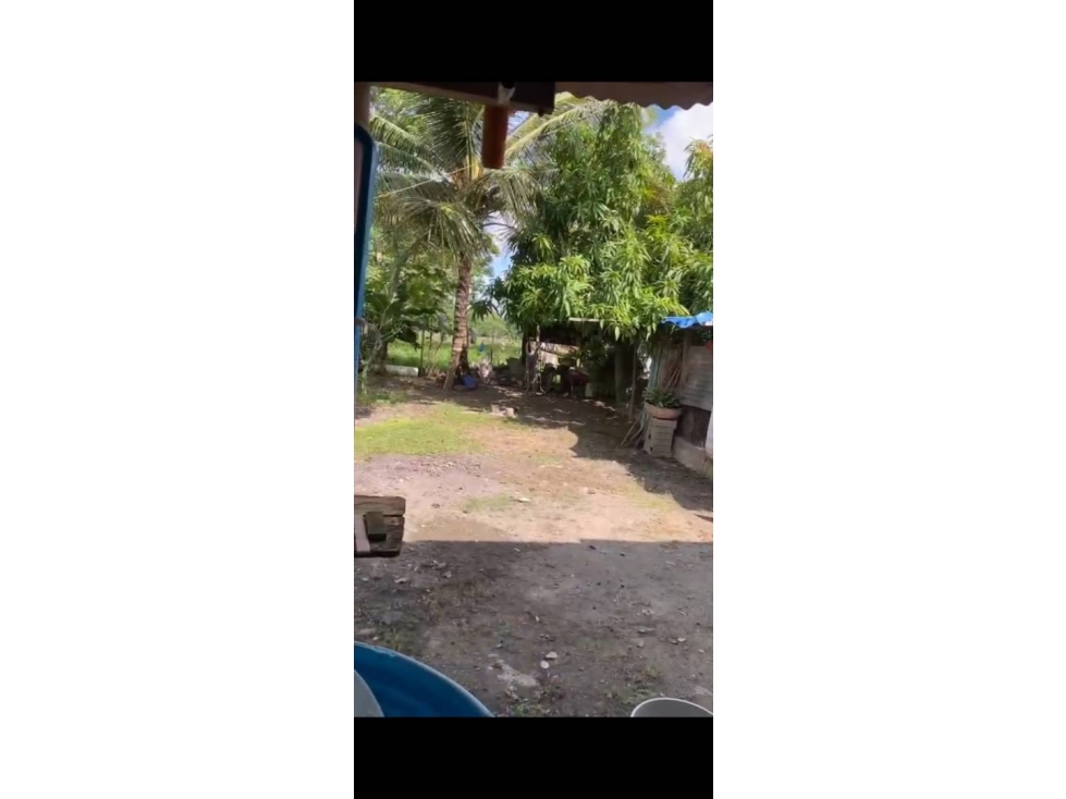 VENDO CASA CAMPESTRE EN LOS PERICOS MONTERIA CORDOBA — foto 4