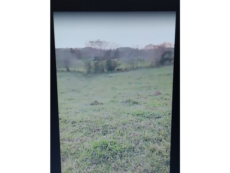VENDO FINCA ENTRE SAN CARLOS Y CARRIZAL CORDOBA — foto 4