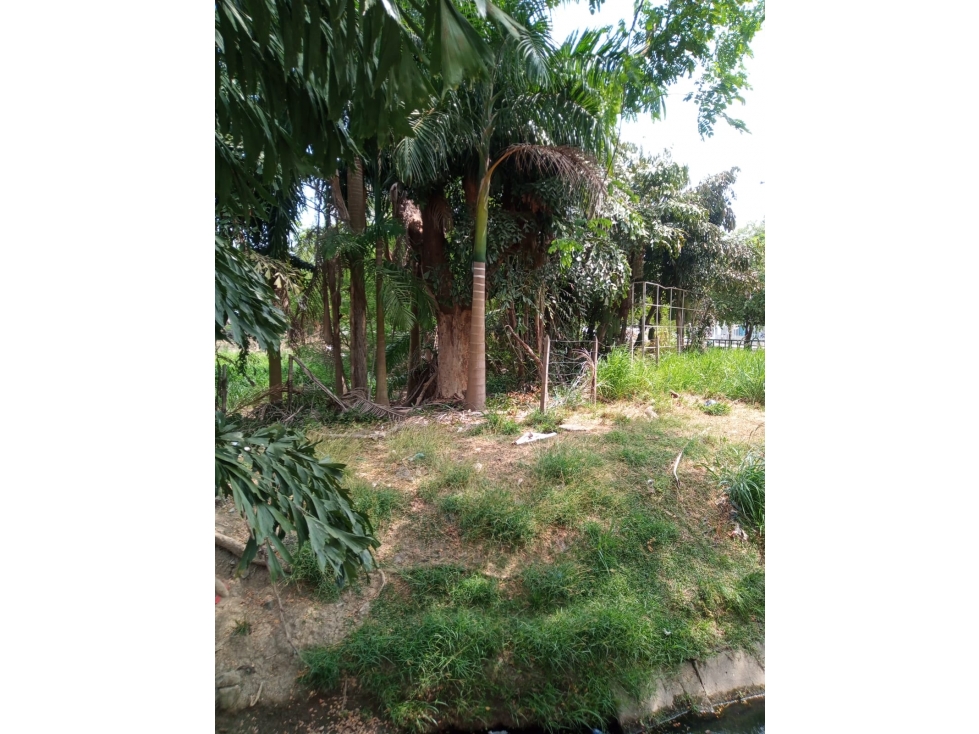 LOTE DE TERRENO DISPONIBLE PARA LA VENTA EN EL CENTRO DE MONTERIA — foto 2