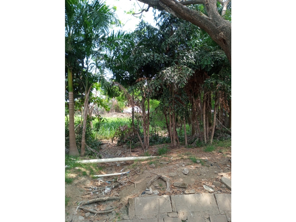 LOTE DE TERRENO DISPONIBLE PARA LA VENTA EN EL CENTRO DE MONTERIA — foto 5