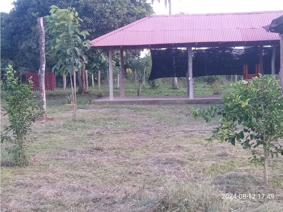VENDO LOTE EN LA VIA A TIERRALTA MOCHILA — foto 2