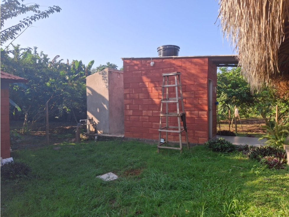 VENDO CASA FINCA EN SAN CARLOS CORDOBA COLOMBIA — foto 4