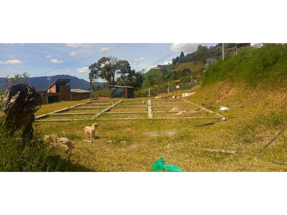 Lote en venta ubicado en Barbosa Matasano - 4