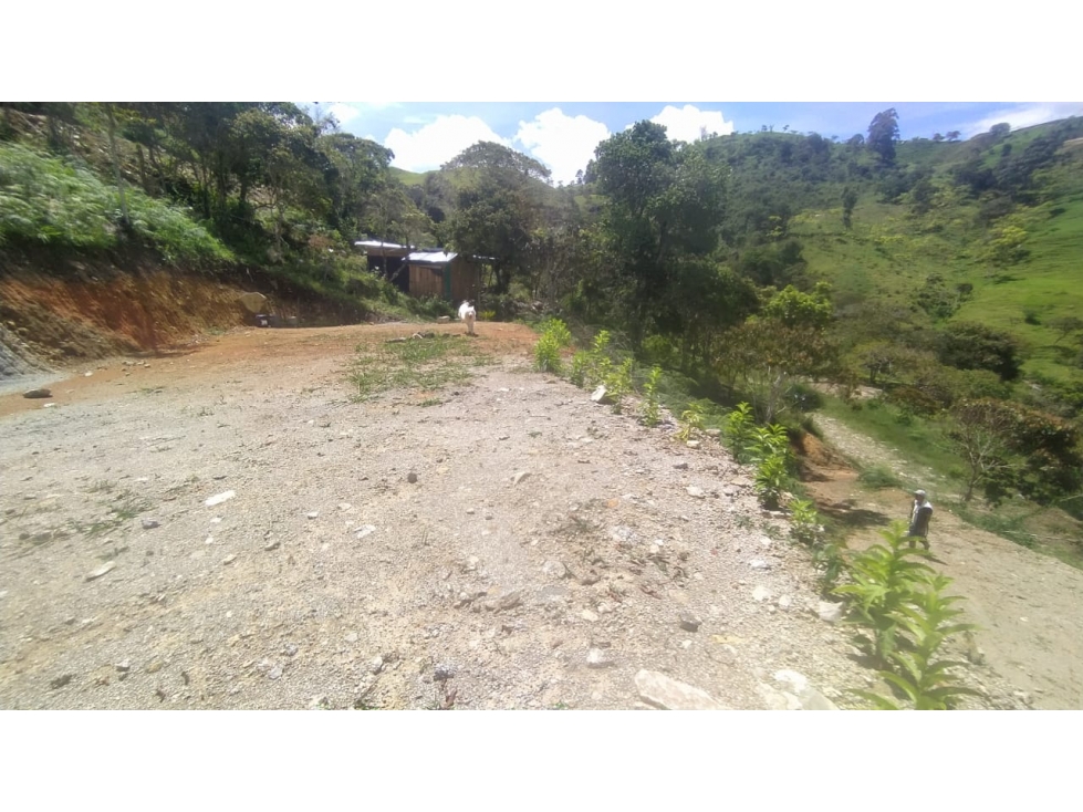 Lote en venta ubicado en Barbosa Matasano