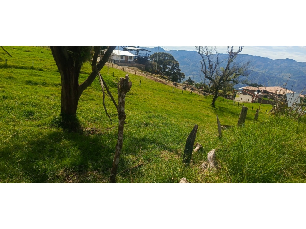 Lote en venta ubicado en Barbosa Matasano — foto 2