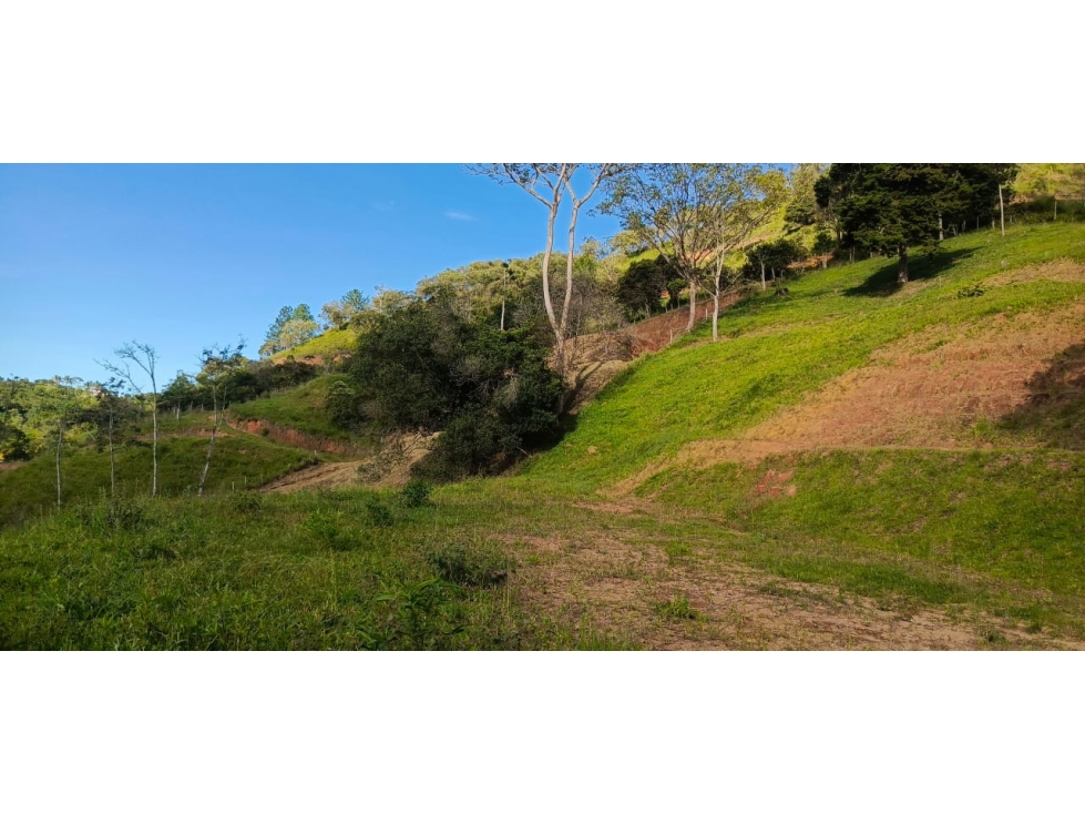 Lote en venta ubicado en Barbosa - 5