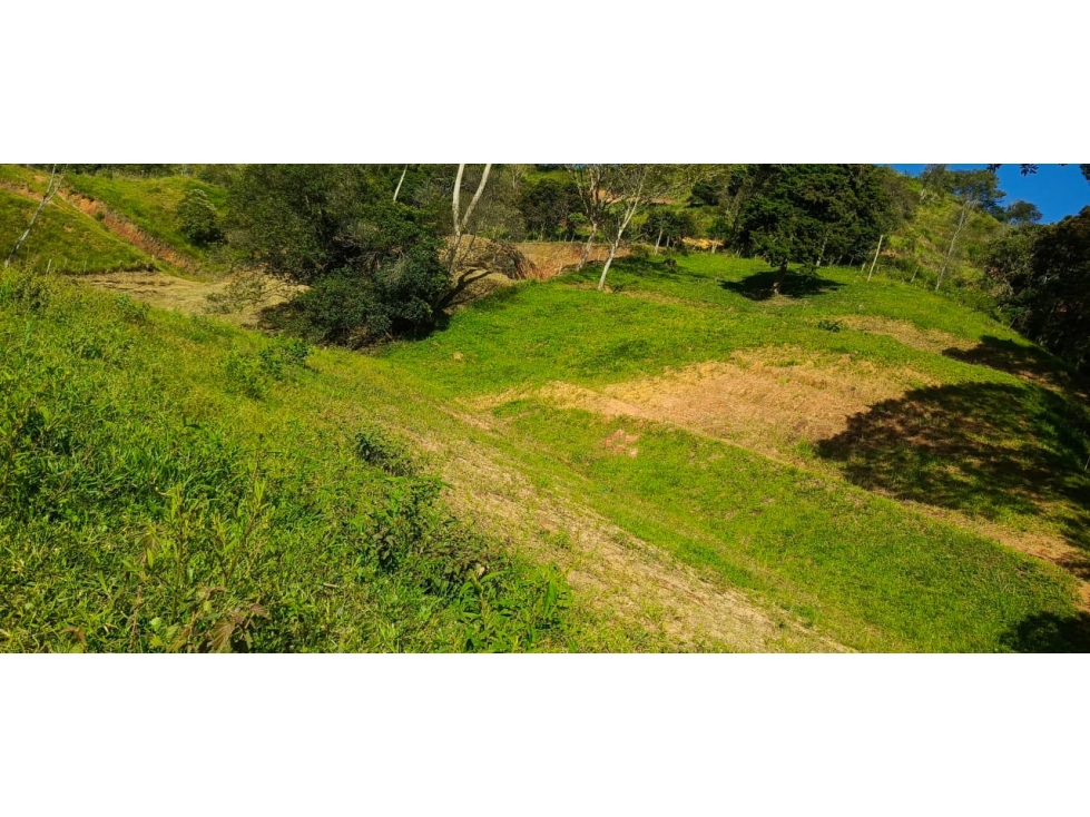 Lote en venta ubicado en Barbosa - 6