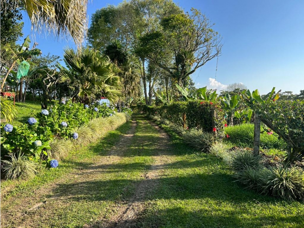 FINCA - 6