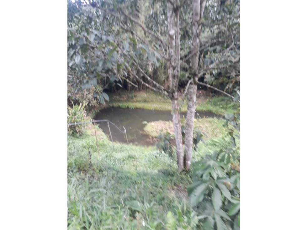 HOSPEDAJE RURAL — foto 2