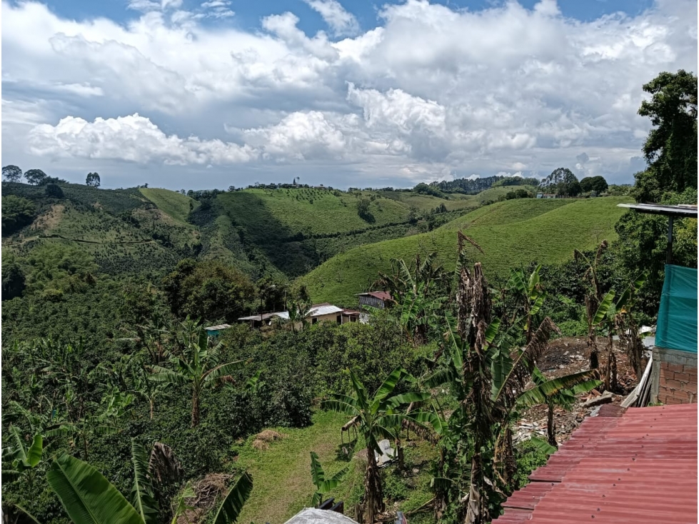 FINCA