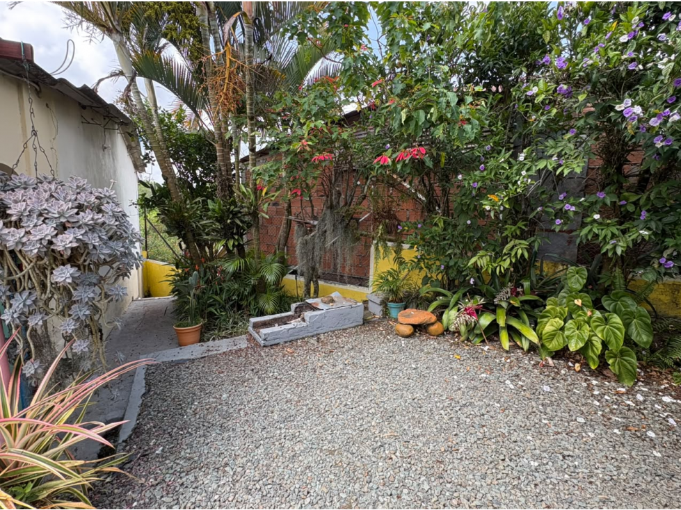 FINCA CON PRODUCCION VARIADA — foto 4